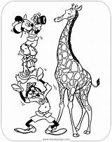 Mickey Coloring Safari Mouse Disneyclips Friends Goofy Disney Donald Funstuff sketch template