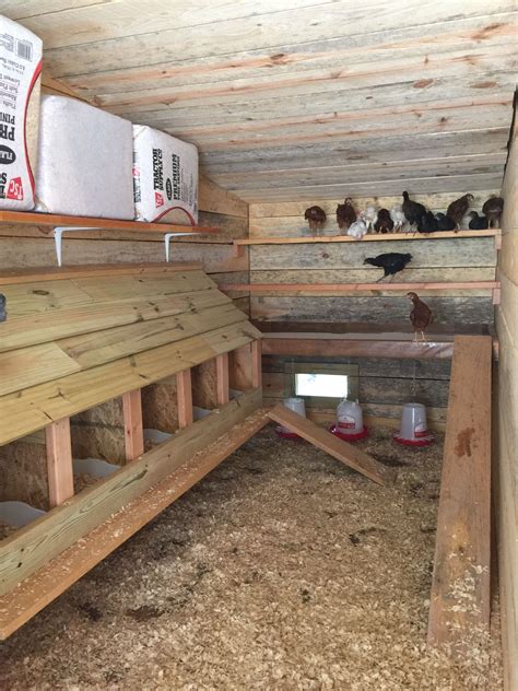 Savvy Tips On How To Build The Best Chicken Coop Decoomo