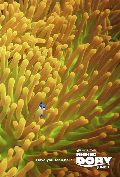 Four New Finding Dory Posters Ask You Tofind Dory Pixar Post