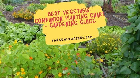 Companion Planting For Specific Vegetables Foliar Garden