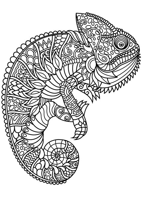 Frog and ladybug coloring page | free printable coloring pages. Free book chameleon - Chameleons & lizards Adult Coloring ...