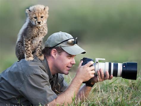Animals Go Wild For Nature Photography Au