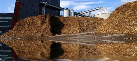 Biomasa Toryfikowana Kierunek Energetyka Ale I Rolnictwo Magazyn Biomasa