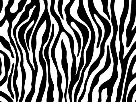 Zebra Print Wallpaper (72 Wallpapers) - HD Wallpapers