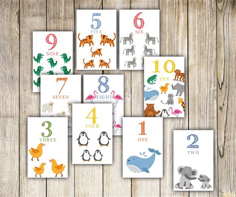 Flash Cards Numbers Learning Homeschool Activity Printable Etsy