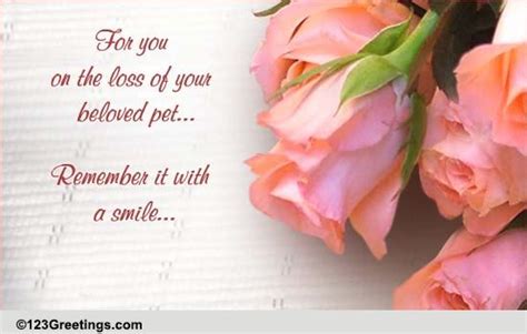 We did not find results for: On The Loss of Beloved Pet. Free Loss of Pet eCards ...