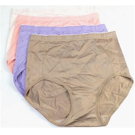 Breezies Nylon Microfiber Brief Panty Lilac Set Of 4 Ebay