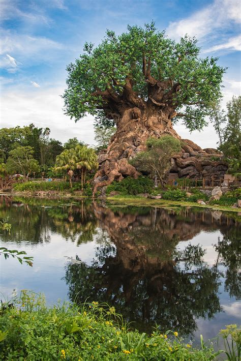Tree Of Life Disney Wikipedia
