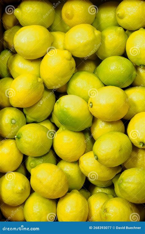 Fresh Bright Yellow Organic Lemons Wonderful Citrus Full Of Healthy