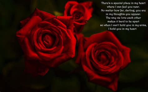 Red Rose Poems And Quotes Quotesgram