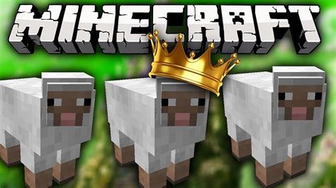 We have heard that on minecraft's tenth anniversary will come up. Minecraft SHEEP QUEST - CRAZY SHEEP MINI-GAME w/Lachlan ...