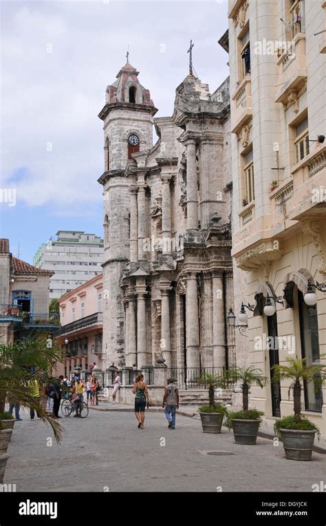 Cathedral Of Havana Old Town Havana Cuba Caribbean Central America