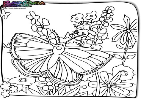 Der lebensmitteltrend im jahr 2019 heißt: 8 Insektenwirkung Xl - Malvorlagen für Kinder zum Ausdrucken