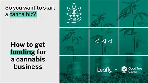 how to get funding for a cannabis business mj pureplay index