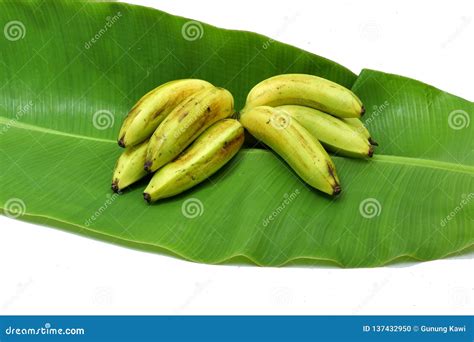 Banana Cluster Isolated Image Stock Photo Image Of Bright Green