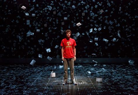 Review The Curious Incident Of The Dog In The Night Time Broadway In