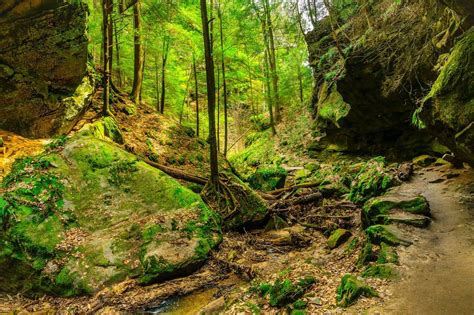 Conkles Hollow Hocking Hills Photo By Tom Clark — National Geographic