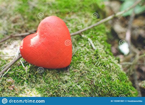 Red Decorative Heart In The Forest Love Concept Stock Image Image Of