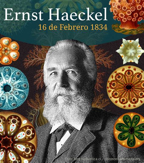 16 De Febrero De 1834 Nace El Biólogo Y Filósofo Alemán Ernst Haeckel