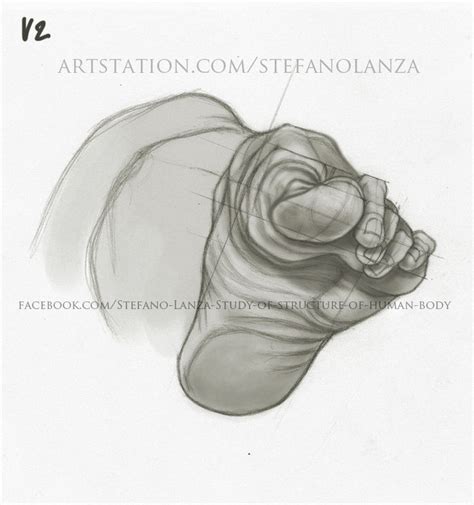 Artstation Study Stefano Lanza Anatomy For Artists Drawing For