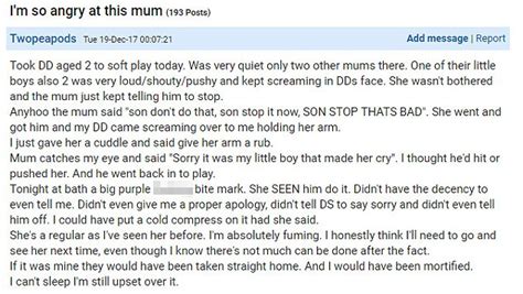 Mumsnet Mum S Outraged After Strangers Son Bites Daughter Daily Mail