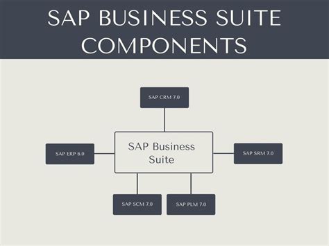 Sap Business Suite An Overview