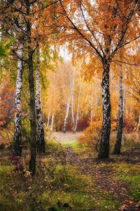Эстетично Осенний пейзаж Живописные пейзажи Картины пейзажа