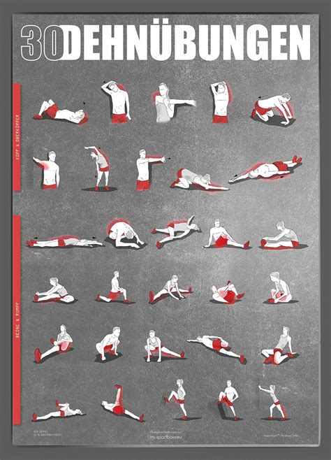 Stretching Poster Din A1 Dehnübungen Übung Dehnen