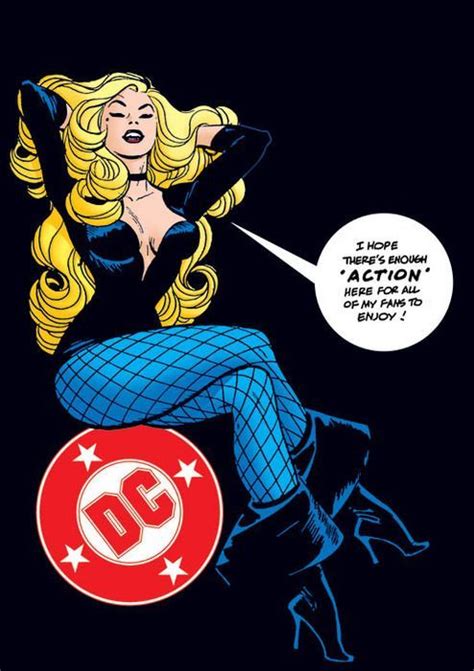 Black Canary Black Canary Comic Black Canary Alex Toth