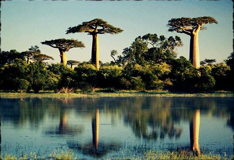 Top 10 Countries For Great Outdoor Adventure Travel Baobab Tree