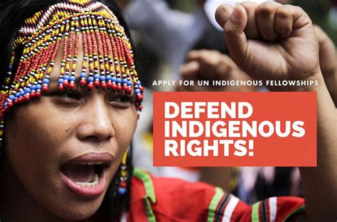 2024 Ohchr Indigenous Fellowship Programme Fully Funded