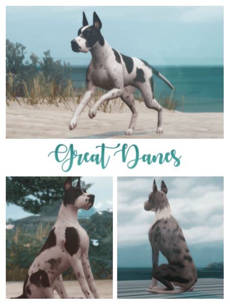 Great Danes Dog For The Sims 4 Spring4sims Sims 4 Pets Sims Pets