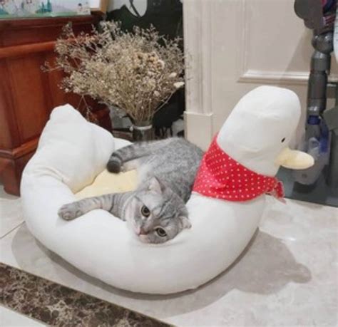 Novelty Cat Bed Funny Cats Condo Deep Sleep Best Cat Cozy Etsy