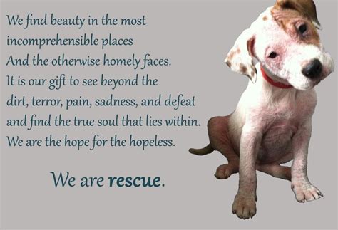 Rescue Dog Quotes Vitalcute