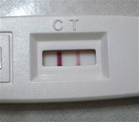 What is a pregnancy test, and how does it work? Tiada secantik bahasamu..: Jalur Samar di UPT: Adakah Saya ...