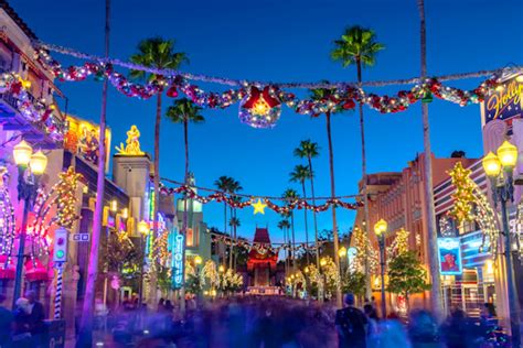 Hollywood Studios Christmas Disney Christmas Photos