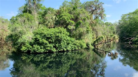 Hillsborough River State Park Florida John Marucci On The Road