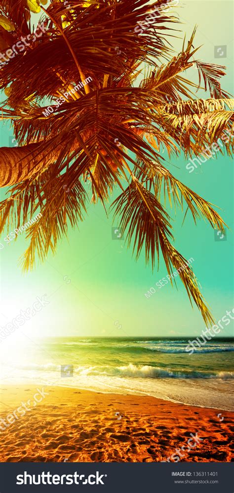 Tropical Beach Wallpapers Gallery