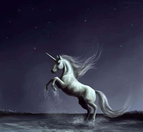 Unicorn Unicorn Pictures Magical Horses Horses