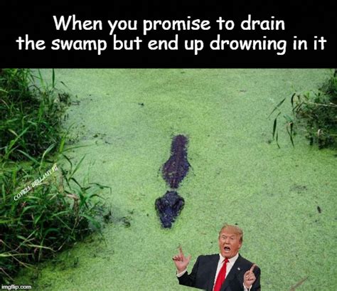Image Tagged In Trump Drowning The Swamp Imgflip