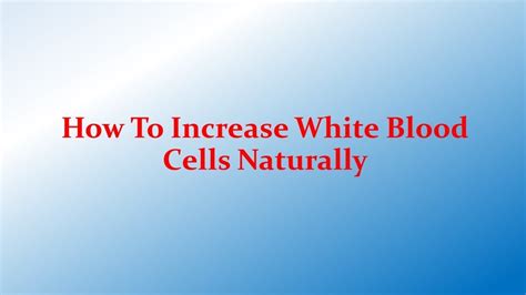 How To Increase White Blood Cells Naturally Boost Immunity Youtube