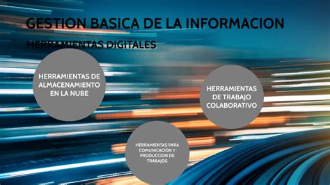 Gestion Basica De La Informacion By Sergio Andrés Malagón B