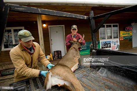Opening Weekend Of Deer Hunting Season In Vermont Photos And Premium