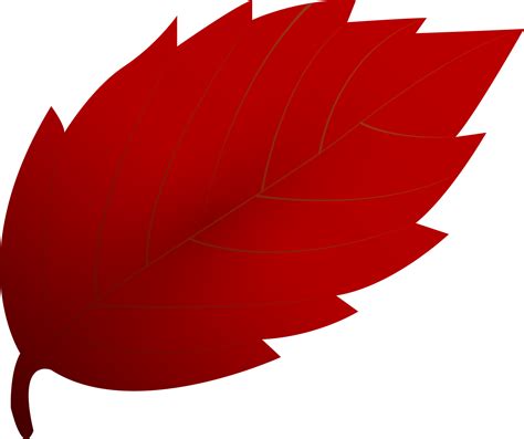 Beautiful Red Autumn Leaf Png File No Background 31427083 Png