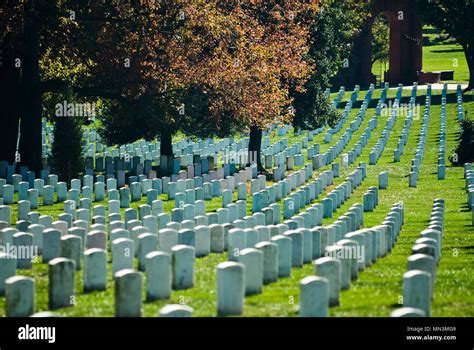 Rows Of Grave Stone Markers In Arlington National Cemetery In