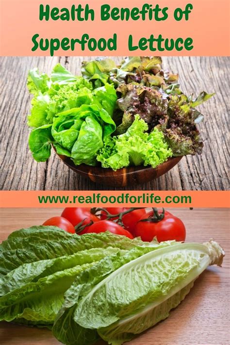 Health Benefits Of Lettuce Make It A Superfood So Good For Your Salad