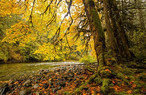 Fondos De Pantalla Canadá Parque Ríos Otoño Piedras Vancouver Island