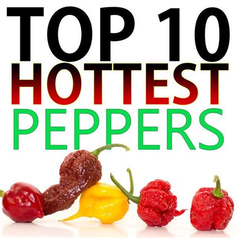 top 10 world s hottest peppers stuffed peppers stuffed hot peppers worlds hottest pepper