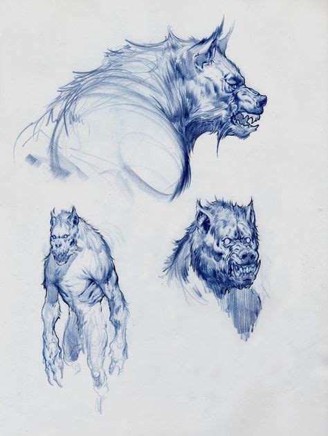 Werewolf Anatomy By Wolfer On Deviantart Were