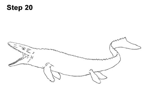 How To Draw A Mosasaurus From Jurassic World Coloring Page Trace